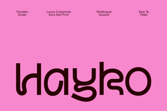 Elevate Your Brand Identity with Hayko Display Fonts